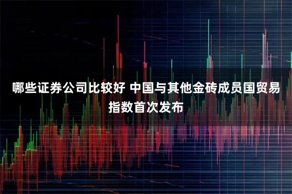 哪些证券公司比较好 中国与其他金砖成员国贸易指数首次发布