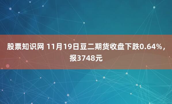 股票知识网 11月19日豆二期货收盘下跌0.64%，报3748元