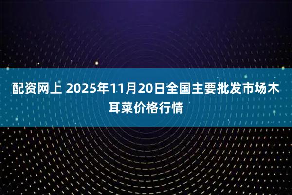 配资网上 2025年11月20日全国主要批发市场木耳菜价格行情